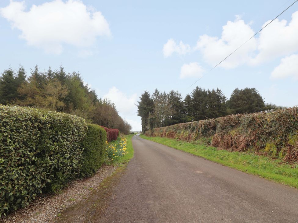 A rural road bordered by hedges and trees at Turraheen in Cashel