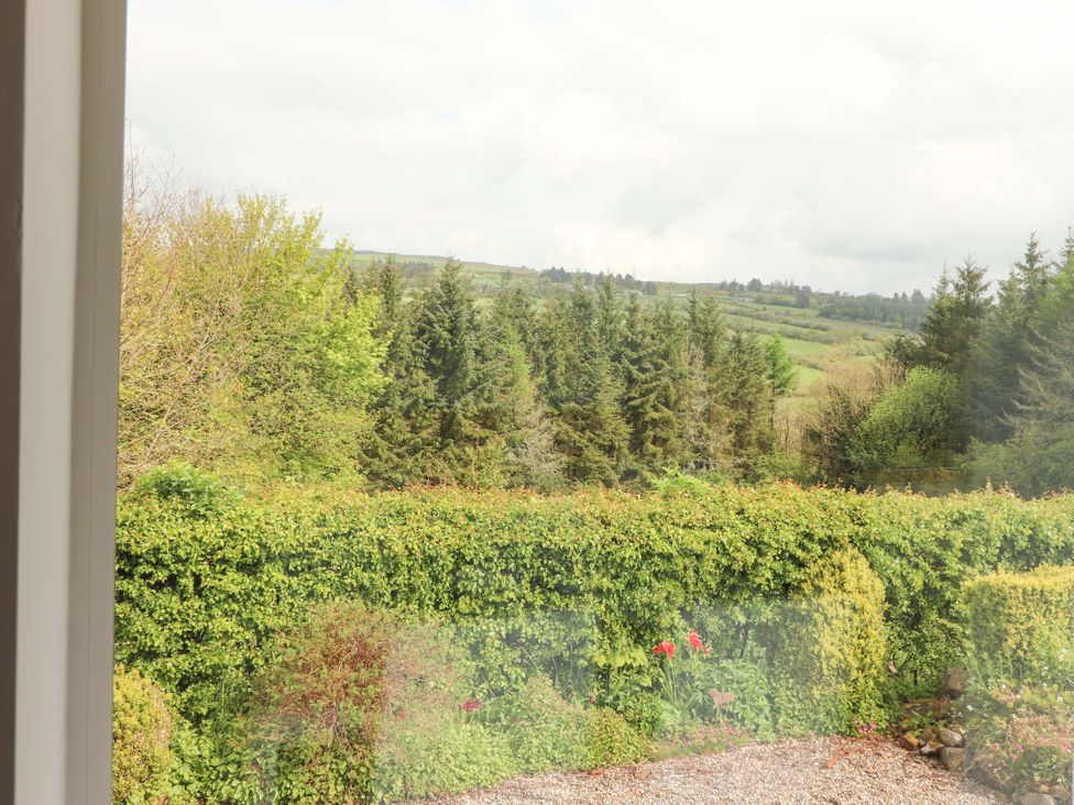 A view of trees and a hedge from the window at Artist’s Cottage, Cashel, County Tipperary