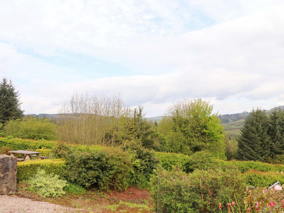 A view of trees and a bench with mountains in the distance at Artist’s Cottage in Cashel, County Tipperary