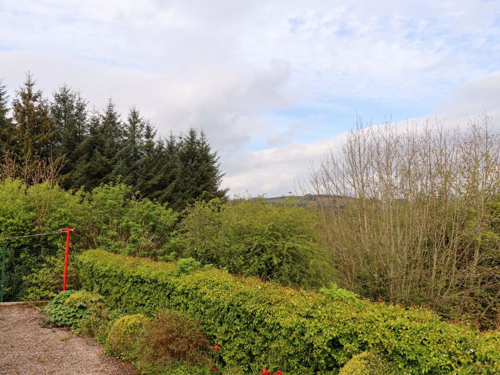 A garden view featuring trees and hedges at Artist’s Cottage Cashel, County Tipperary