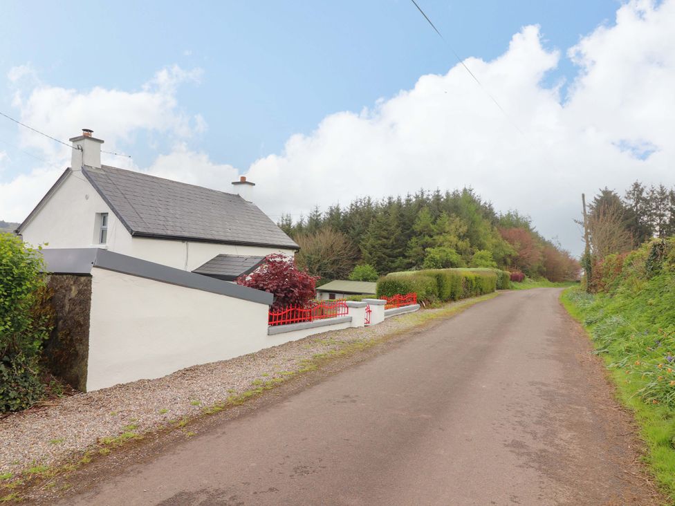 A house beside a road with hedges and trees at Artist’s Cottage Cashel, County Tipperary