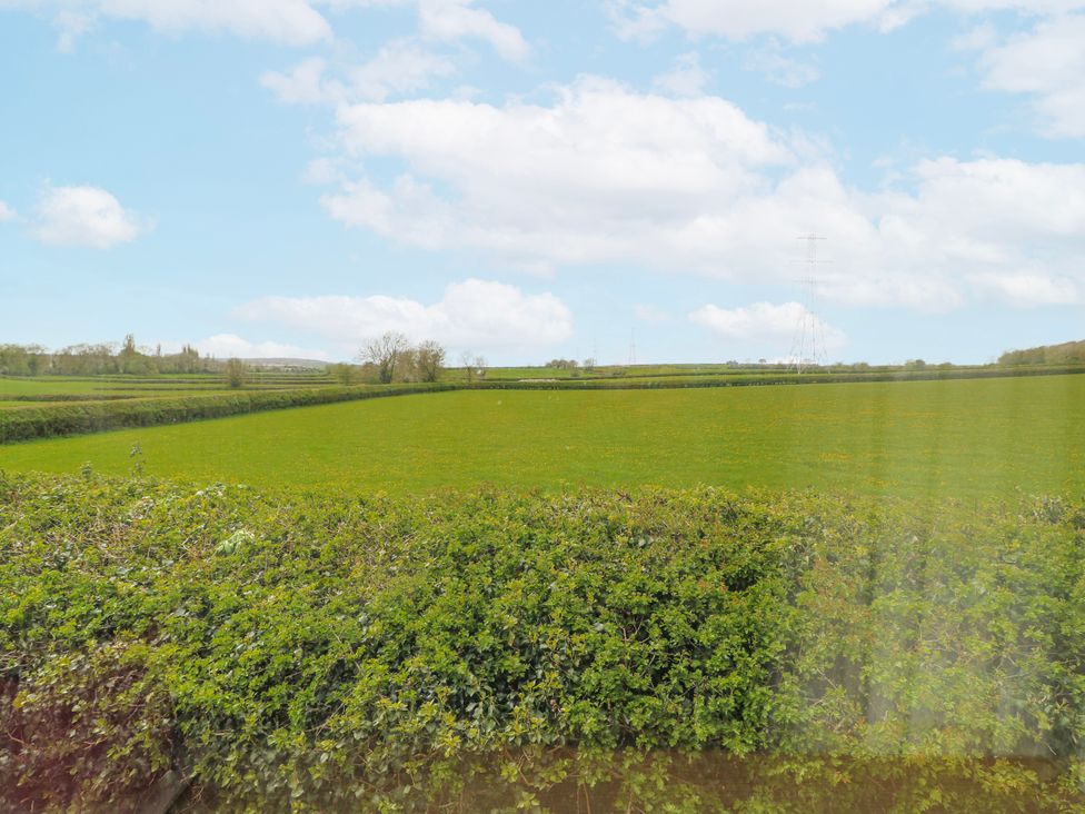 A view of a green field with a hedge and electric poles at Brecks Cottage Moorhouse near Tuxford