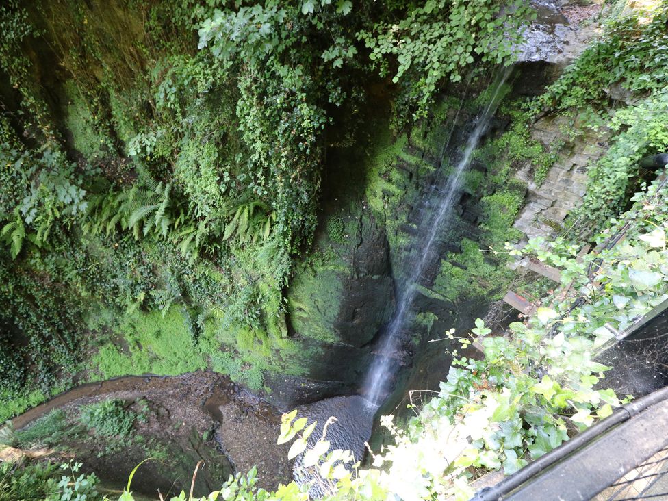 A waterfall in a rocky area surrounded by greenery at Bay Tree Cottage in Shanklin