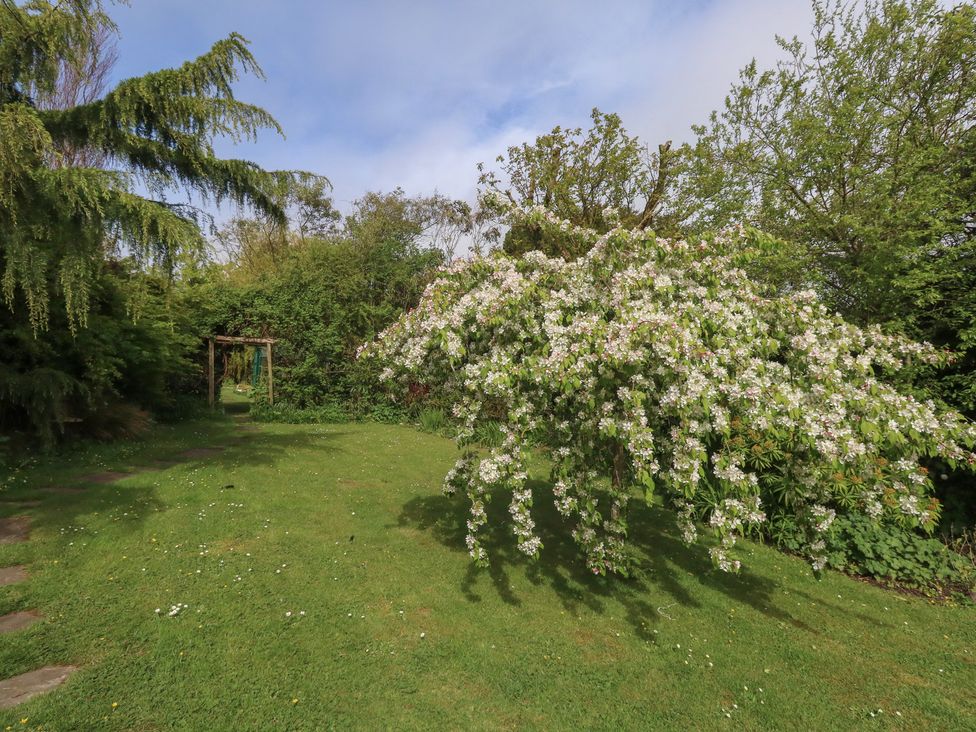 A garden with a flowering tree and a path at Millmead House Portesham