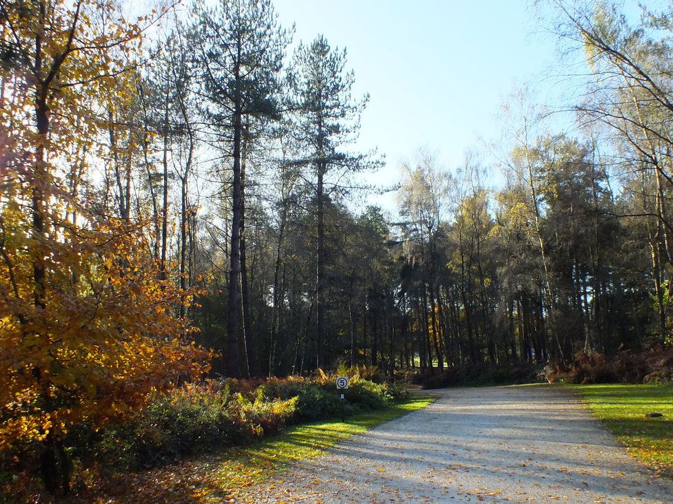 A gravel road with trees and shrubs at Sherwood - Family Pod 3 in Mansfield