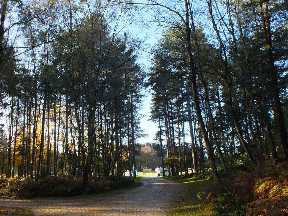 A path through trees with vehicles in the distance at Sherwood - Family Pod 4, Mansfield