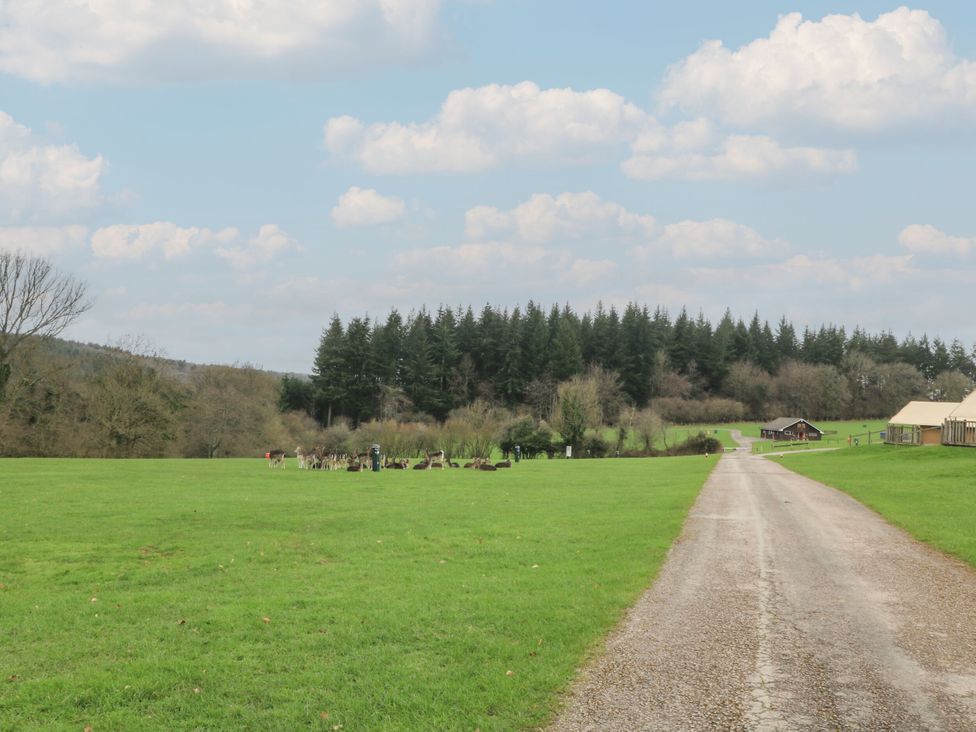 A grassy area with a dirt road and deer in the distance at Sherwood Pines - Deluxe Pod 1 near Edwinstowe