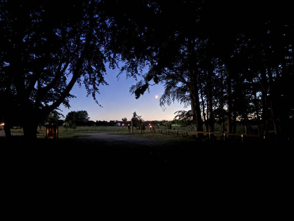 A view of trees and moonlight at Sherwood Pines - Deluxe Pod 1 near Edwinstowe