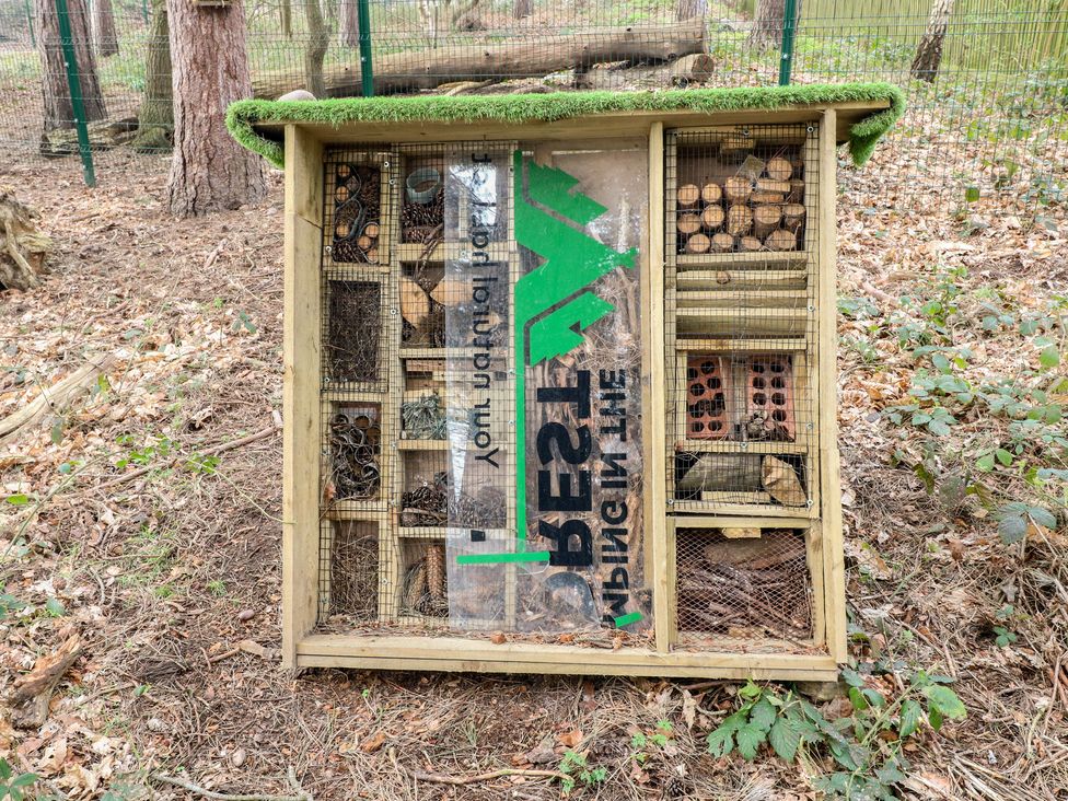 An insect hotel made of wooden structure with compartments at Sherwood - Deluxe Pod 2, Mansfield
