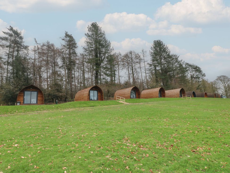 Wooden cabins in a field at Sherwood Pines - Deluxe Pod 2 near Edwinstowe