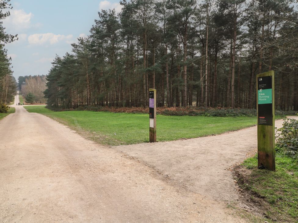 A pathway with signposts in a forest at Sherwood - Deluxe Pod 3 Mansfield