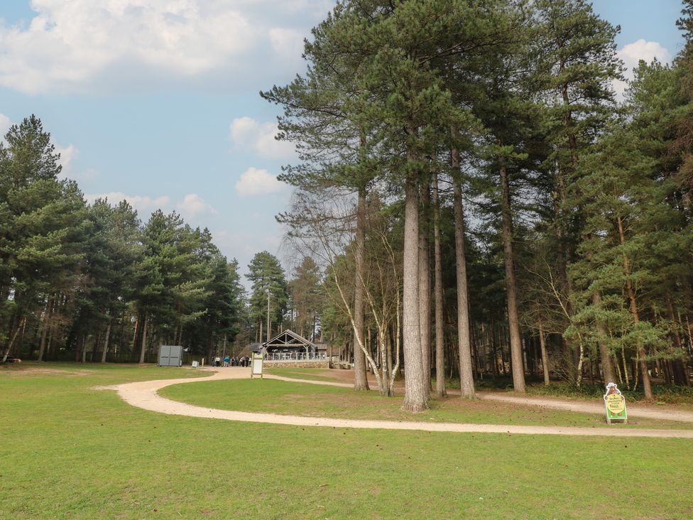 A pathway leading through trees towards a building at Sherwood - Deluxe Pod 3 in Mansfield
