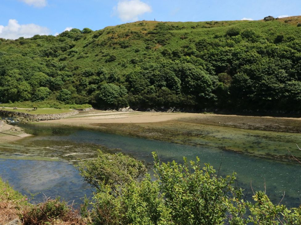 A hillside with trees and a riverbank at Maerdy Lodge