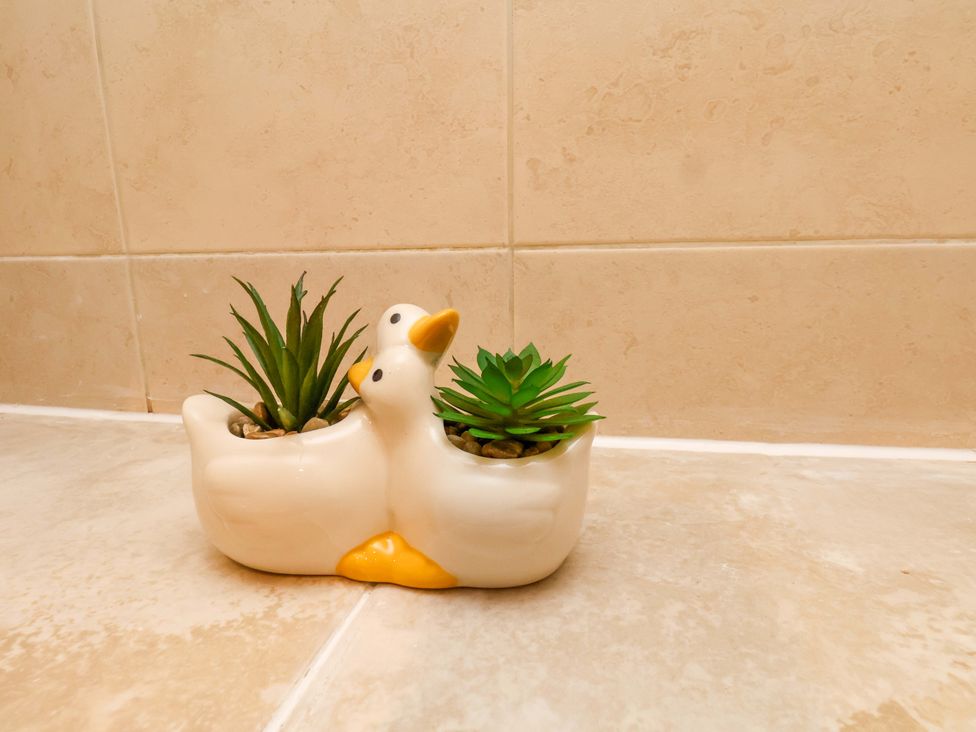 A planter with succulents in a bathroom at The Nook in Robin Hood’s Bay