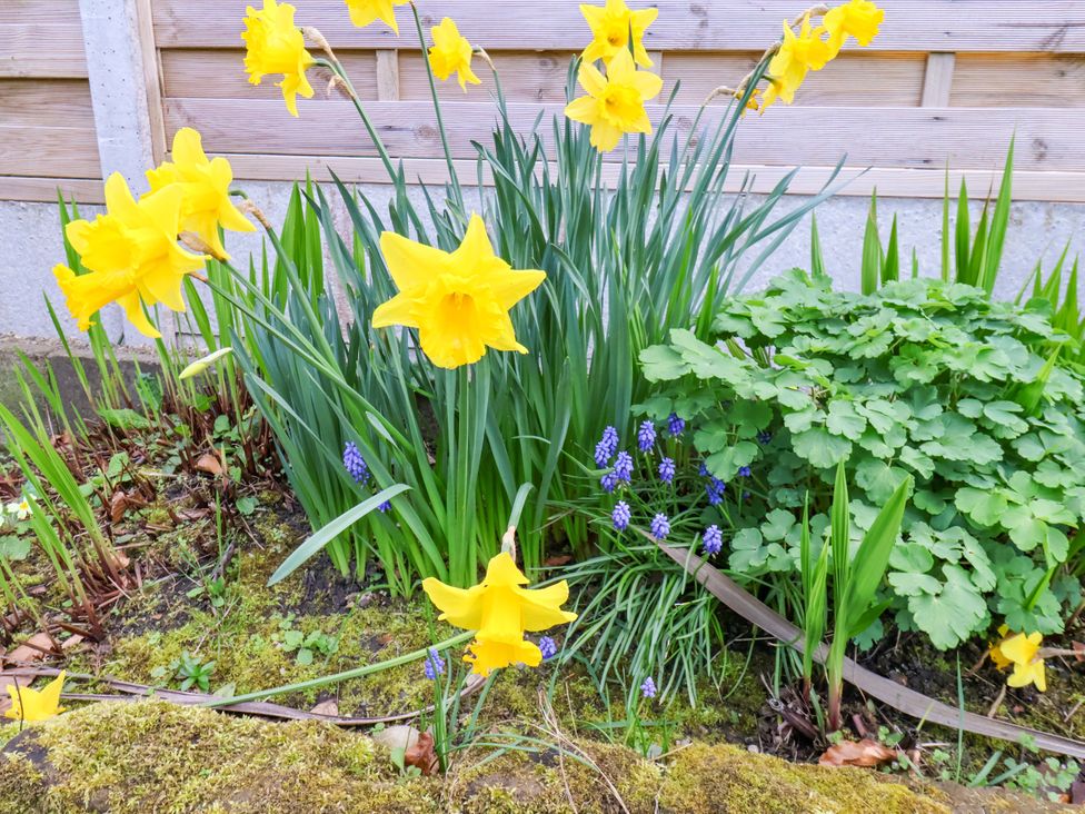 Flowers and plants in a garden at The Nook Robin Hood’s Bay