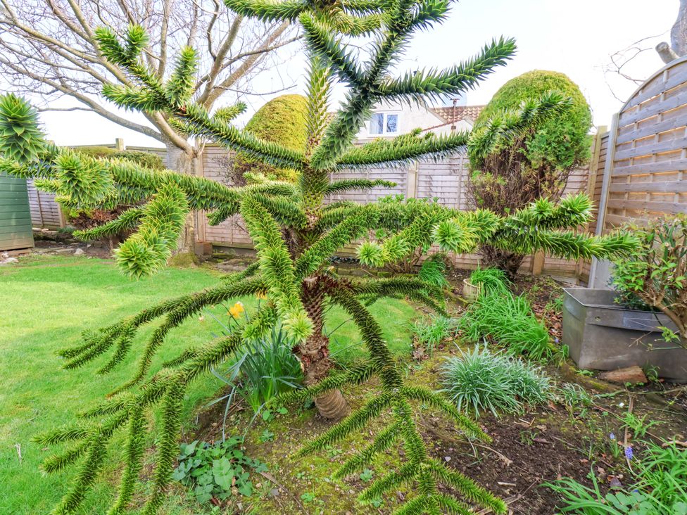 The Nook - North Yorkshire (incl. Whitby) - 1200910 - thumbnail photo 41