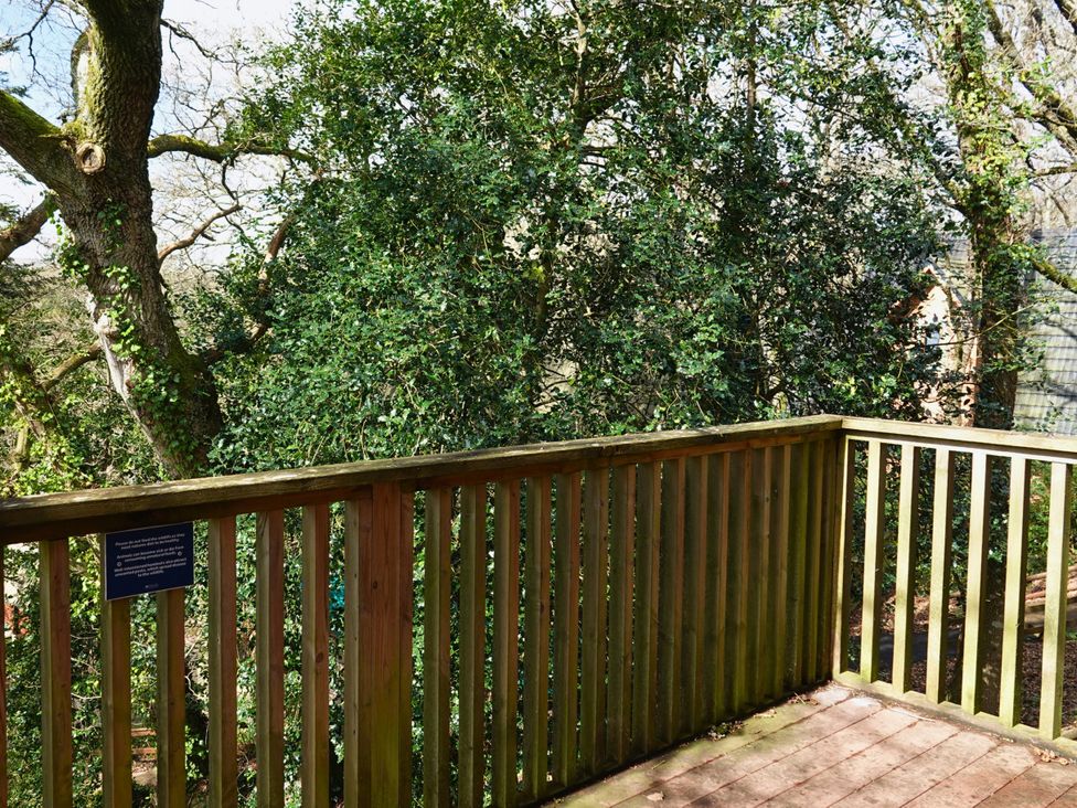 An outdoor area with a wooden deck and greenery at Bracken Lodge Finlakes Holiday Park near Chudleigh