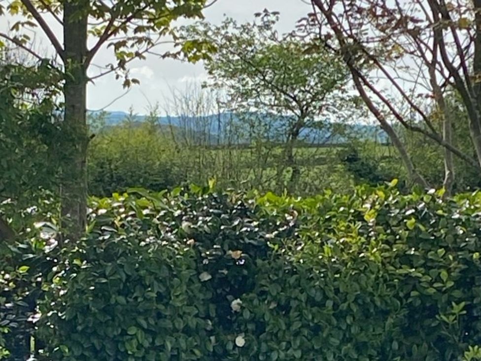 A view with trees and bushes at Honeysuckle Rise in Lanreath