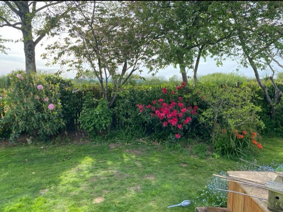 A garden with trees and flowers at Honeysuckle Rise, Lanreath