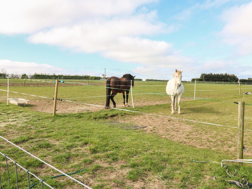Two horses standing in a field at Skylark Loughborough