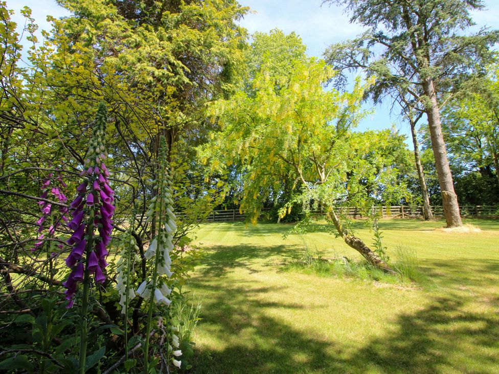 A garden with flowers and trees at Westington Hall Hatfield near Bromyard