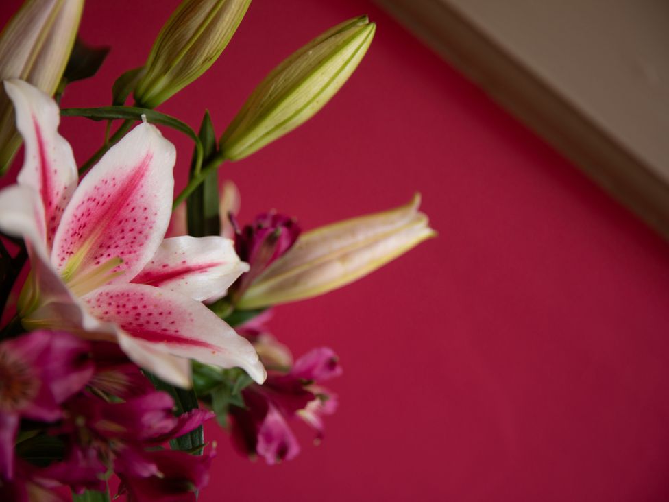 A bouquet of lilies on a pink background at Bishop Lightfoot Cottage, Bishop Auckland