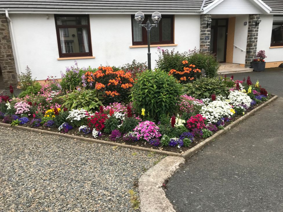 A garden with various flowers and a lamp post at Harvest Hill in Letterston
