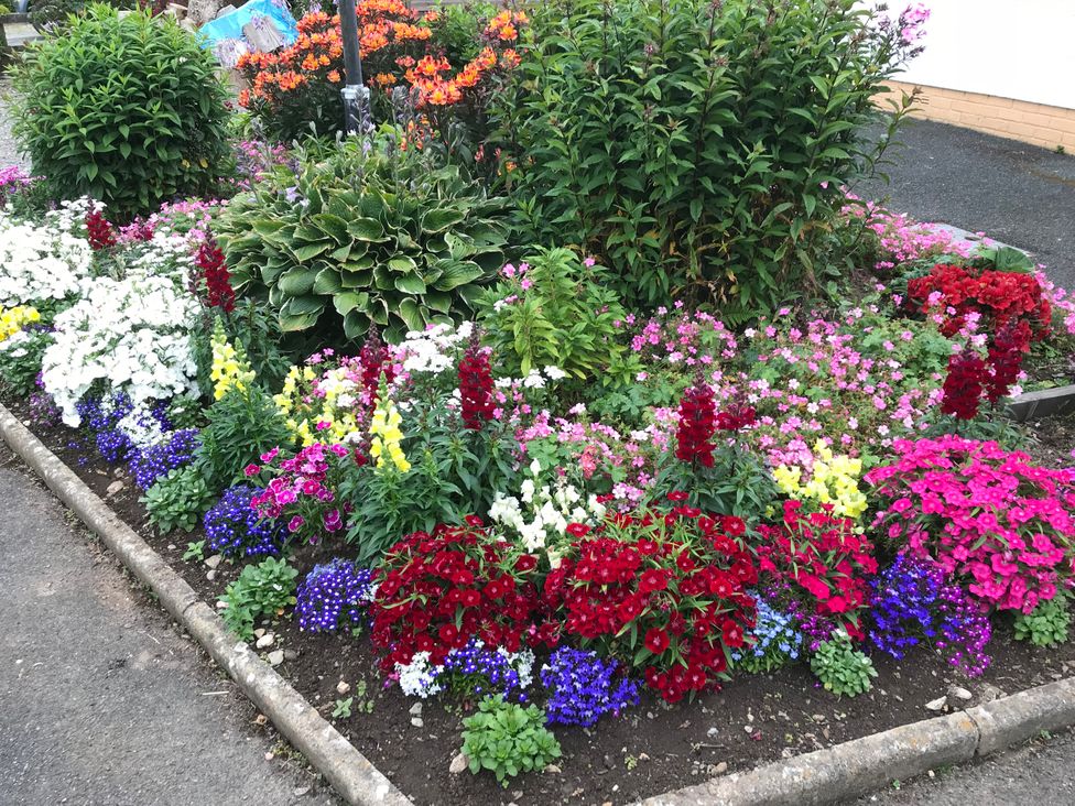 A garden with a variety of flowers in a flower bed at Harvest Hill Letterston