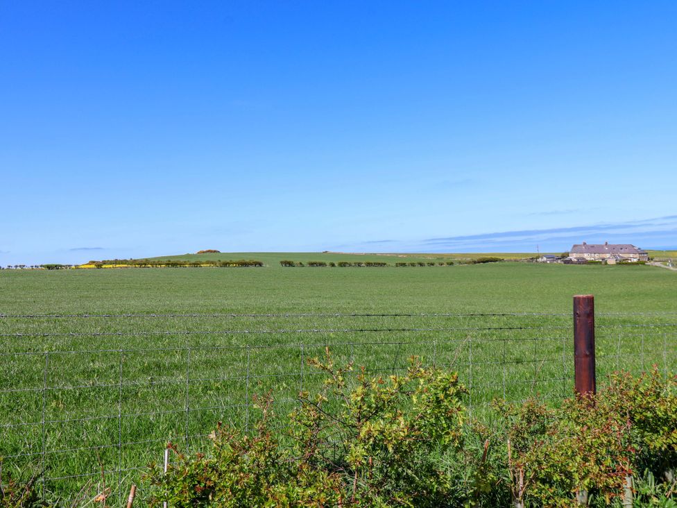 A view of farmland with a house and fence at Cozy Cottage