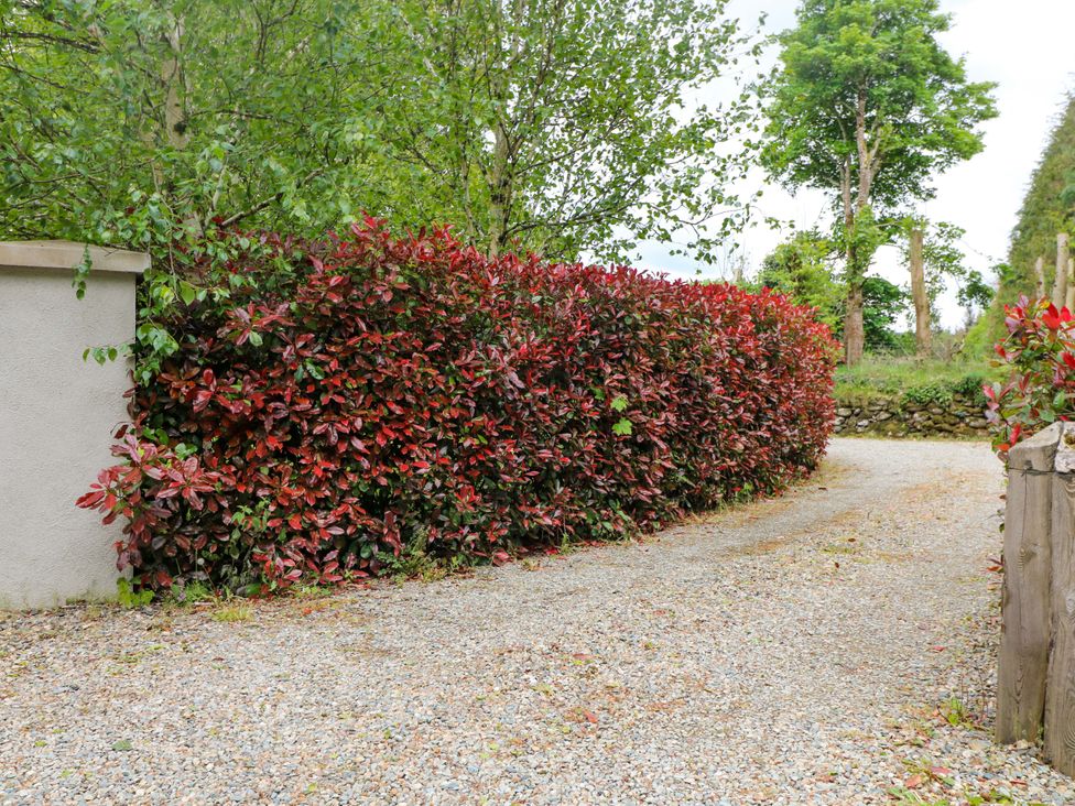 Hedge and gravel driveway with trees at The Mews @ Derrybawn Laragh, County Wicklow