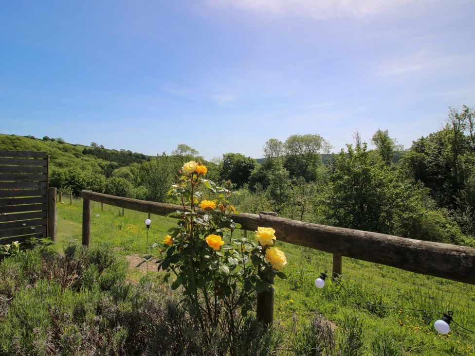 A garden view with a rose bush at Thyme Away in Bucknell