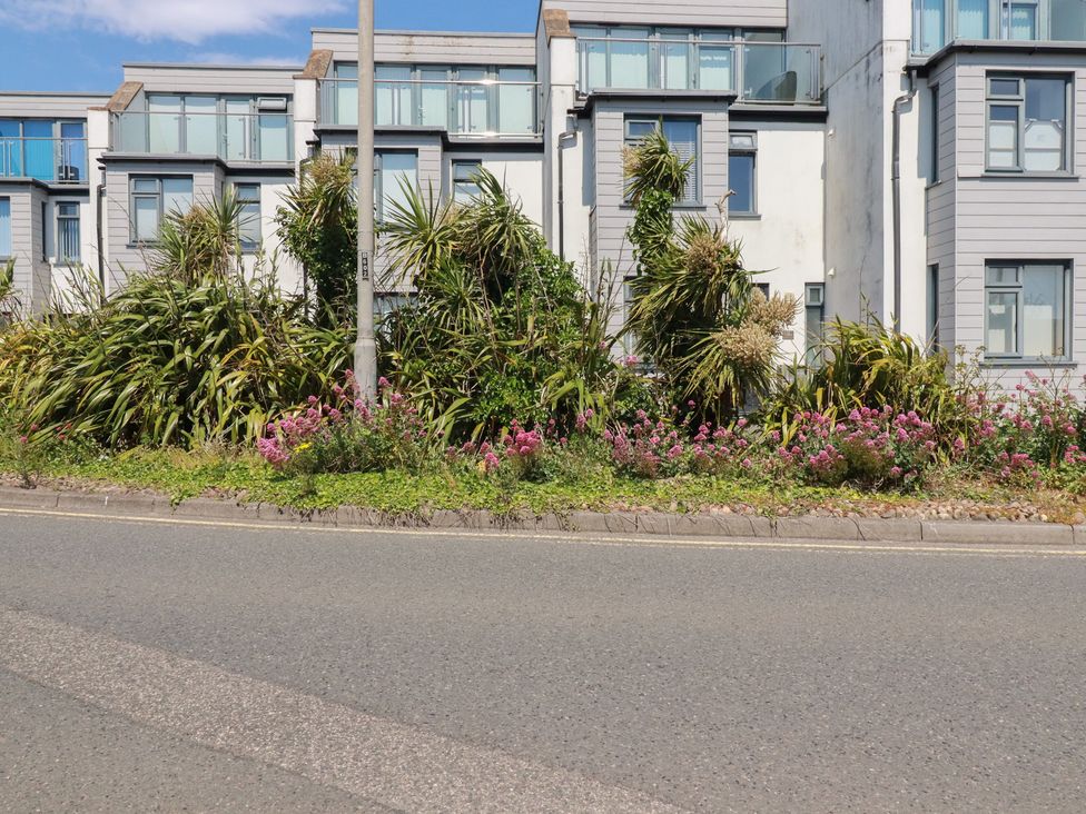 A view of buildings and plants along a road at Cwtch Treth in Newquay