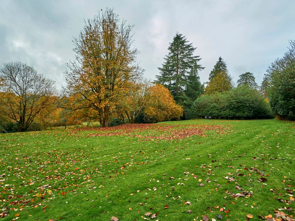 A garden with trees and fallen leaves at Cabin for 2 - Wood Burning Hot Tub & Fire in Larkhall