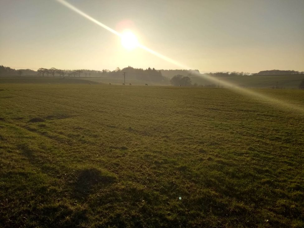 A field with sun setting behind trees and power lines at Cleeves Cabins 2, Arran Luxury Lodge with hot tub, St. John's Town Of Dalry