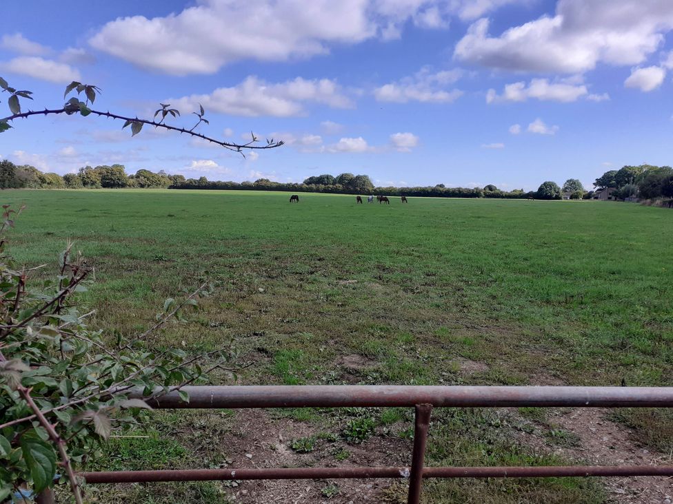 A field with horses grazing at Glamping at the Retreat Wiltshire in Christian Malford