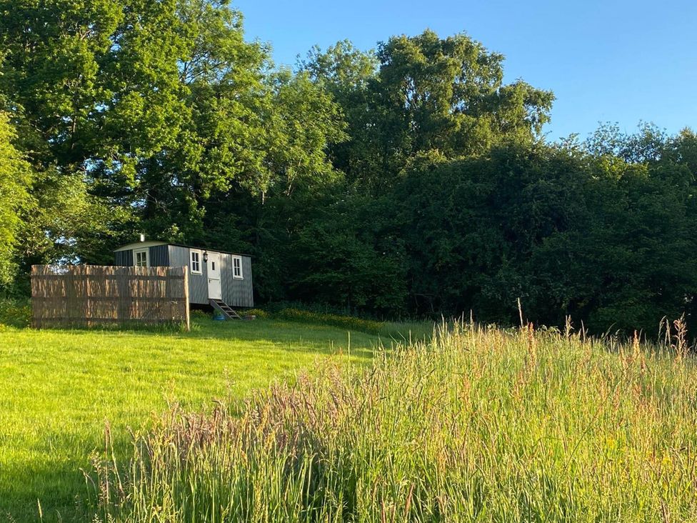 A shed with a fence and tall grass at Cozy Cabin Retreat near Chepstow