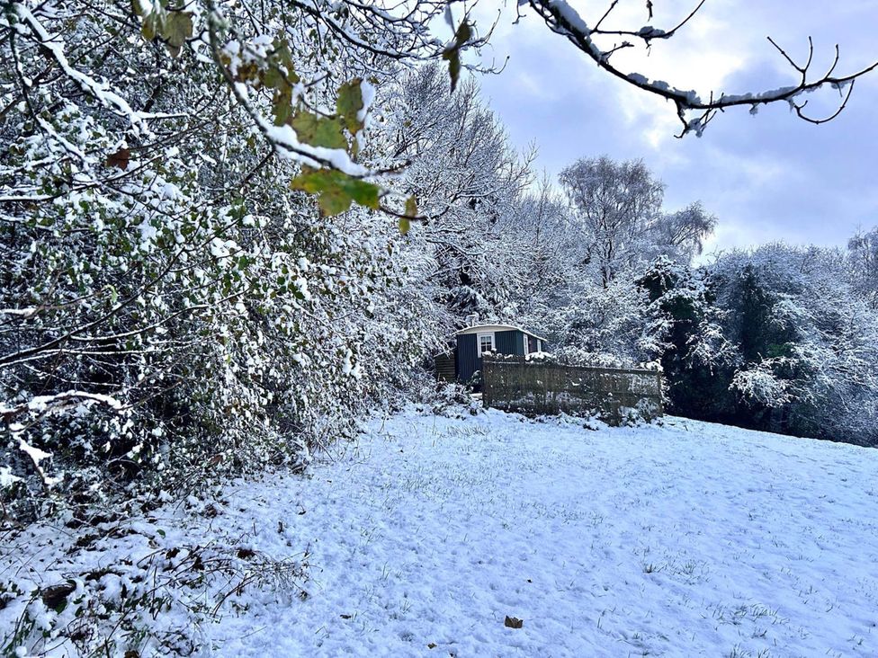 A cabin surrounded by snow in a wooded area at Cozy Cabin Retreat near Chepstow