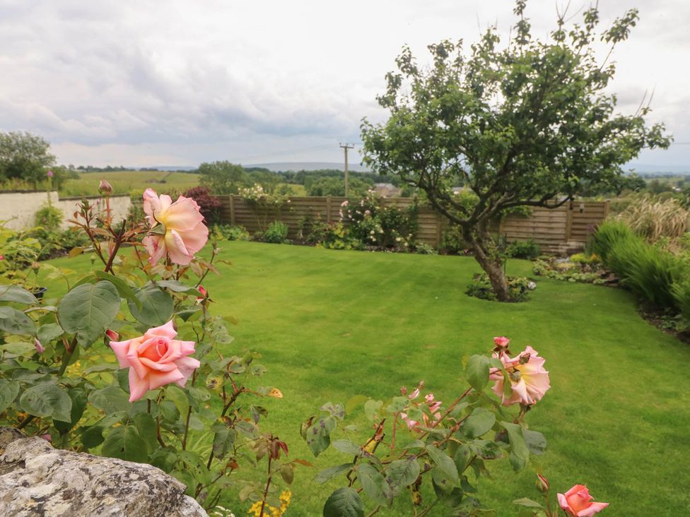 A garden with roses and a tree at Ingleton 2-Bed Cottage, Sleeps 4, Pet Ok & Parking Ingleton