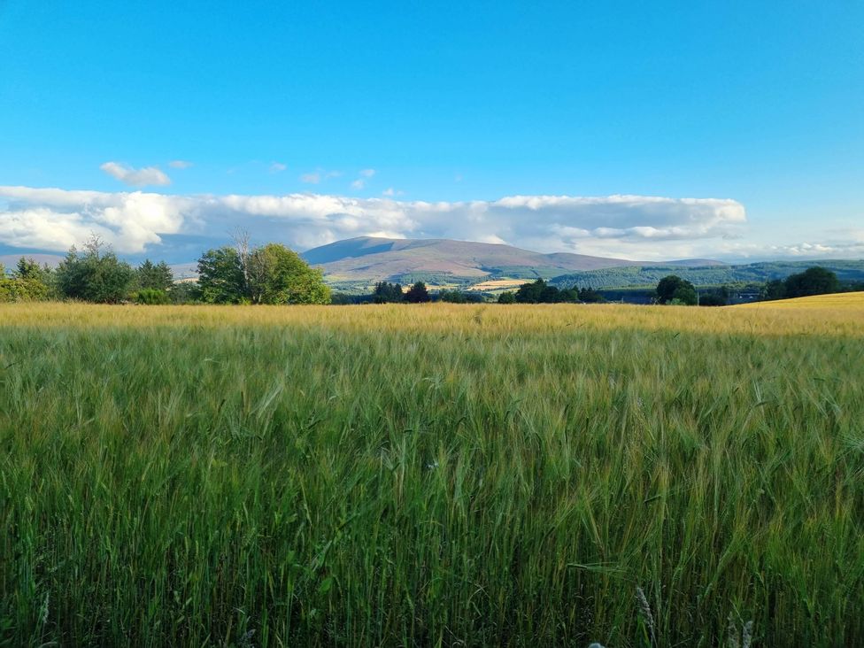 A field with grass and distant mountains at The Coal Office, Aberlour
