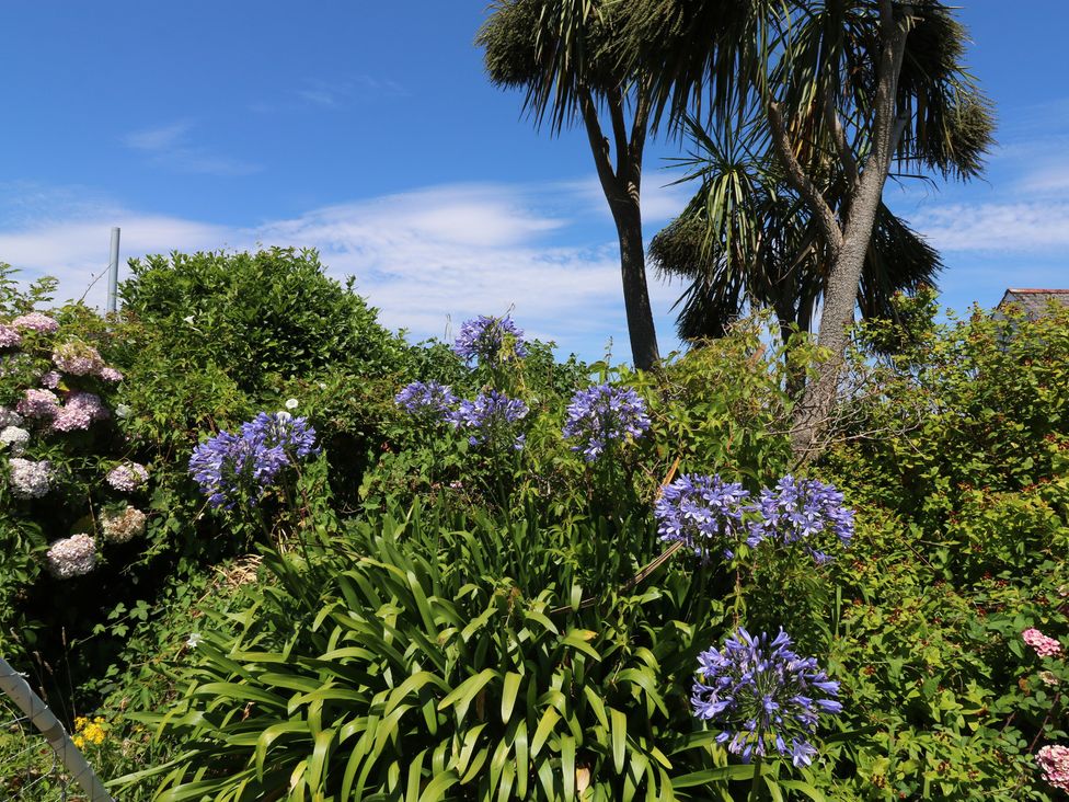A garden with flowers and palm trees at Lorrell in Salcombe