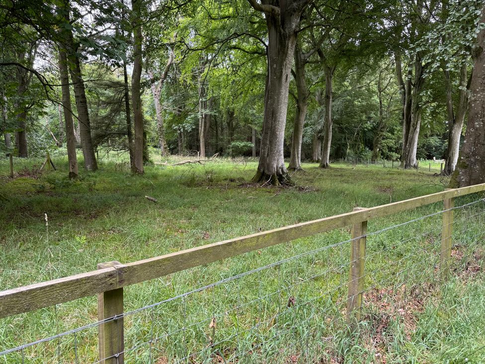 A forested area with trees and a wooden fence at Keepers Cottage in New Deer