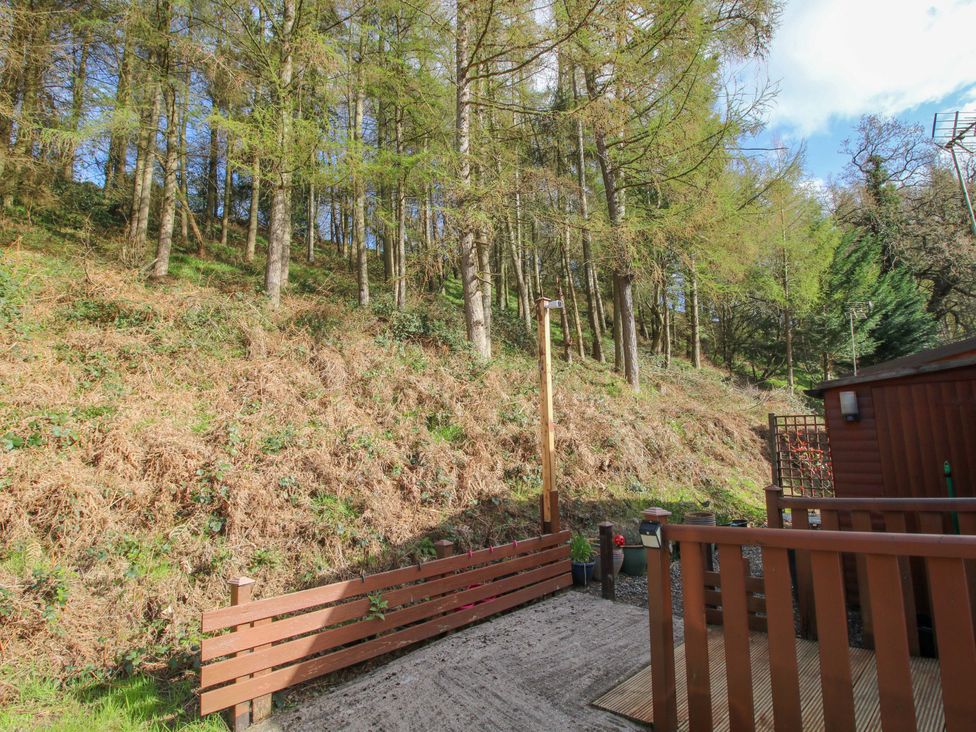 An outdoor area with trees and a wooden fence at No.14 Astbury Falls Luxury Retreat in Bridgnorth