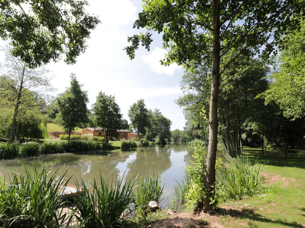 A garden with a pond and trees at Skylark in Ross-on-Wye