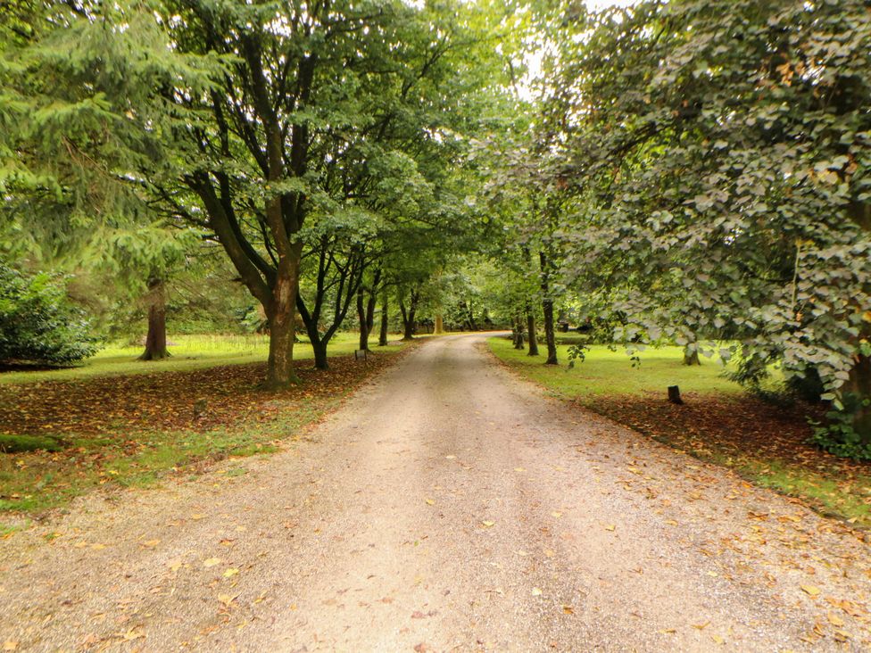 A gravel road surrounded by trees at Rochester Apartment in Orton