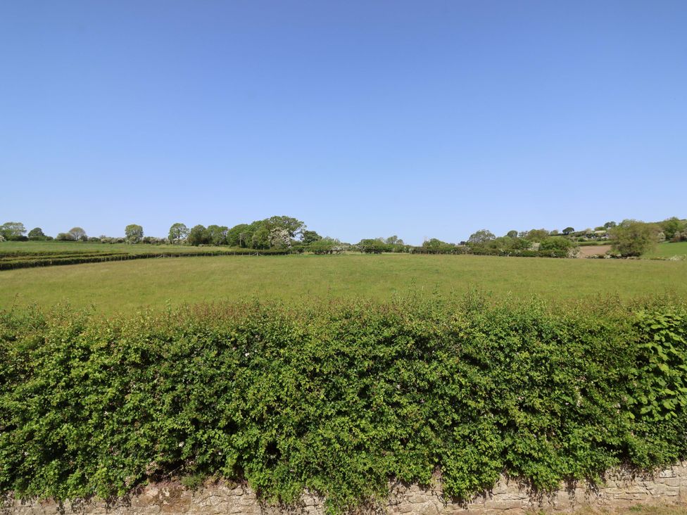 A field with trees and a hedge at Pen Y Grisiau in Mold