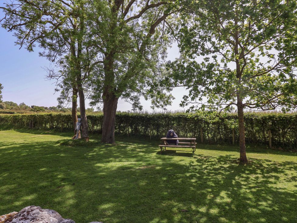 A garden with trees and a bench at Pen Y Grisiau in Mold