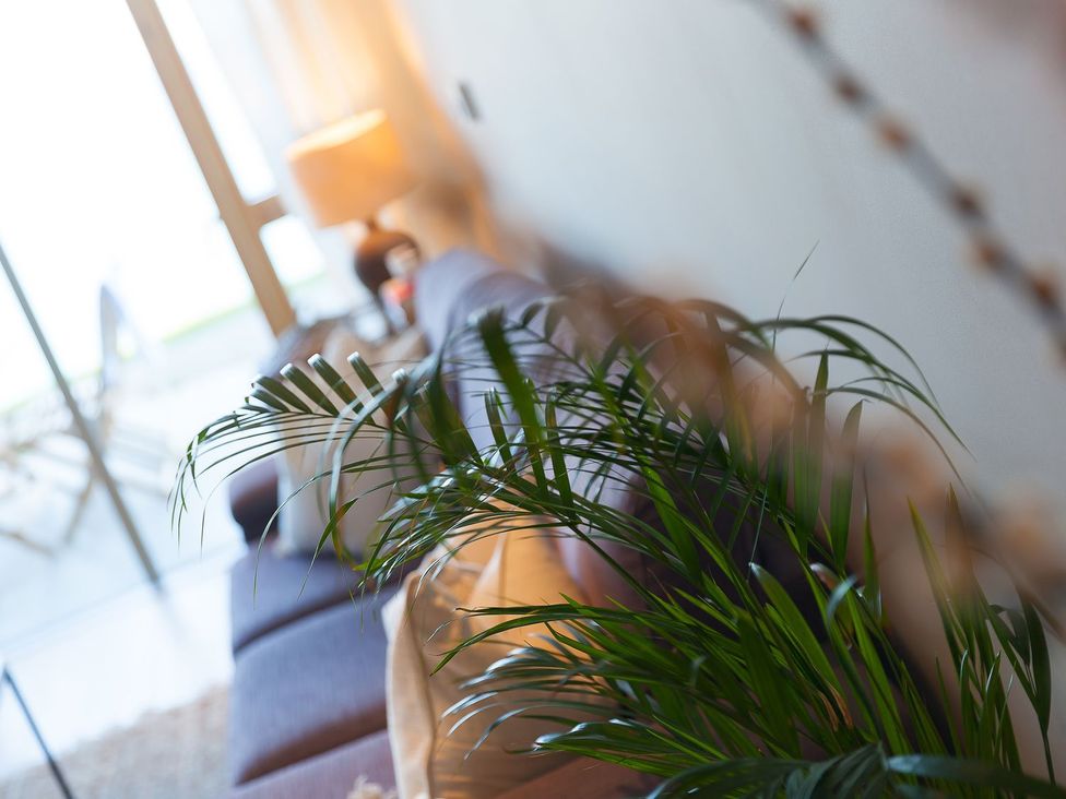 A living room with a sofa and a plant at Anchors Rest St. Ives