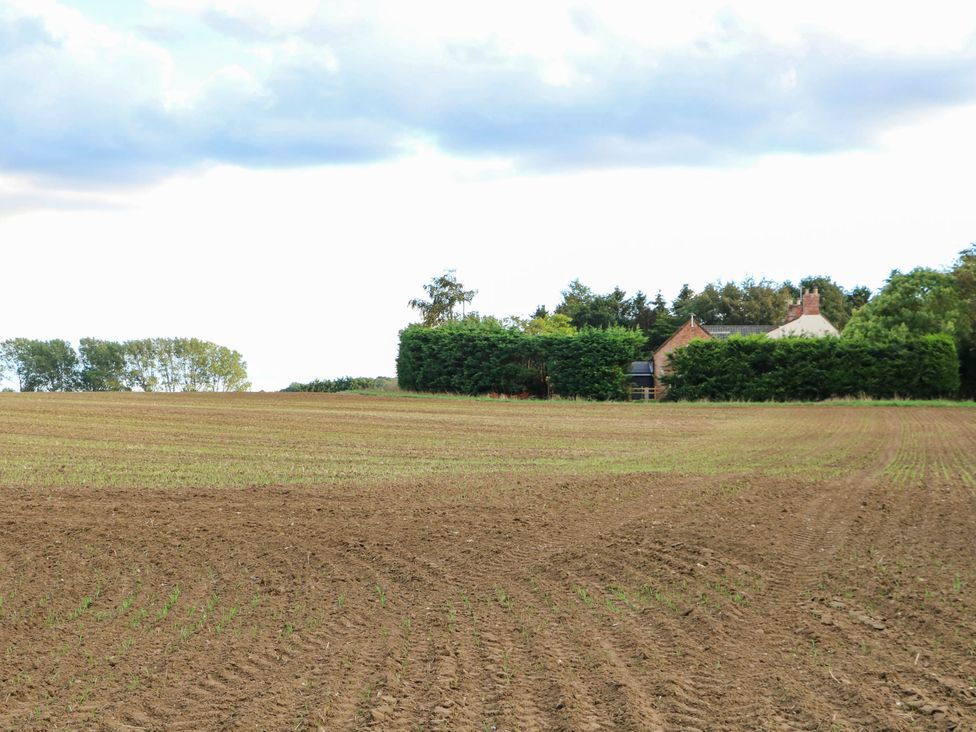 A house surrounded by trees and a field at Bramley Cottage in Worlingham