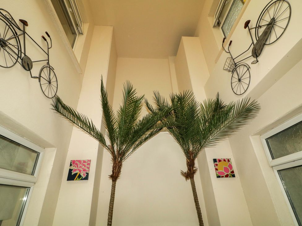 An indoor hallway with bicycles and plants at Apartment 1 Londonderry