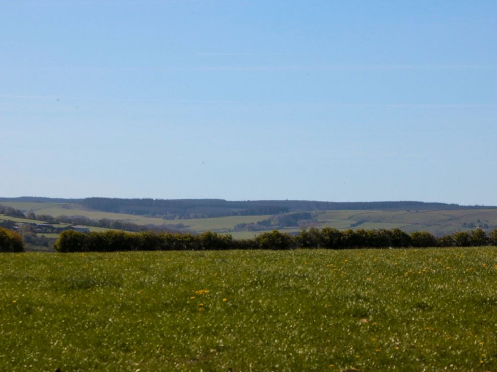 A field with grass and bushes under a clear sky at Heather Heights in Whitby